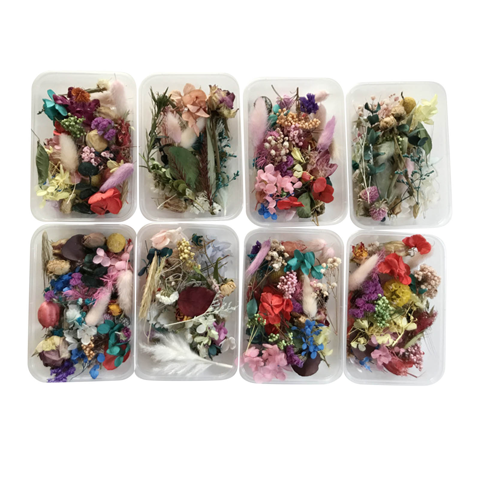 Dried Flower Pressed - Набор натуральных сушеных цветов, прессованные искусства,