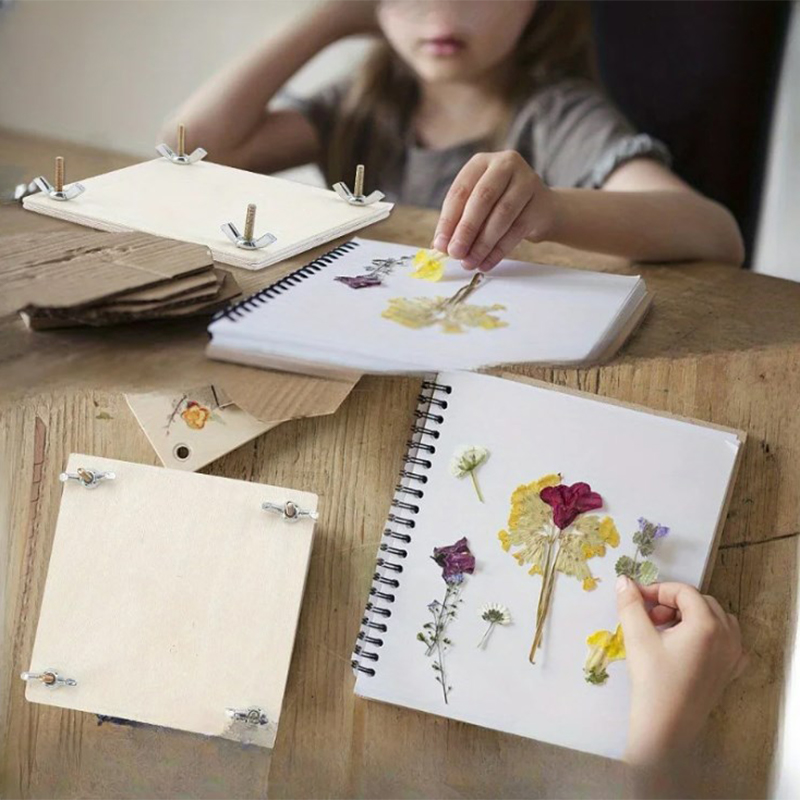 Dried Flower Pressed - 4x4-дюймовый набор для сохранения растений и
