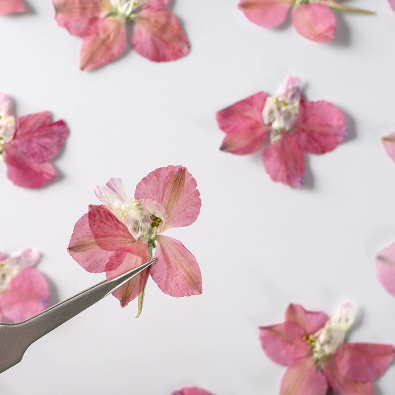 Dried Flower Pressed - 100 шт. цветов в стиле «гусиная