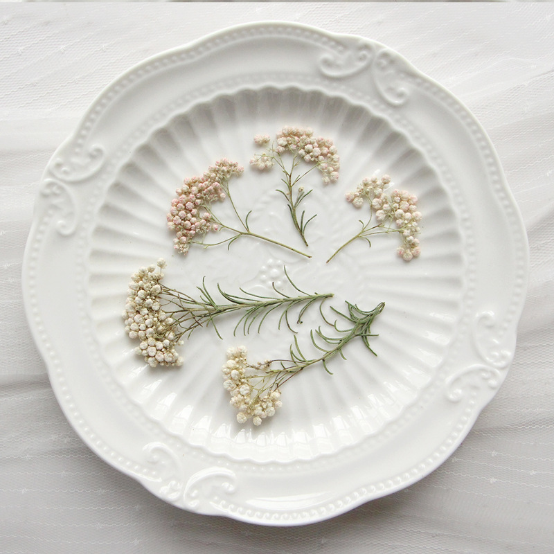 Dried Flower Pressed - 12 шт., Натуральные сушеные ветки проса,