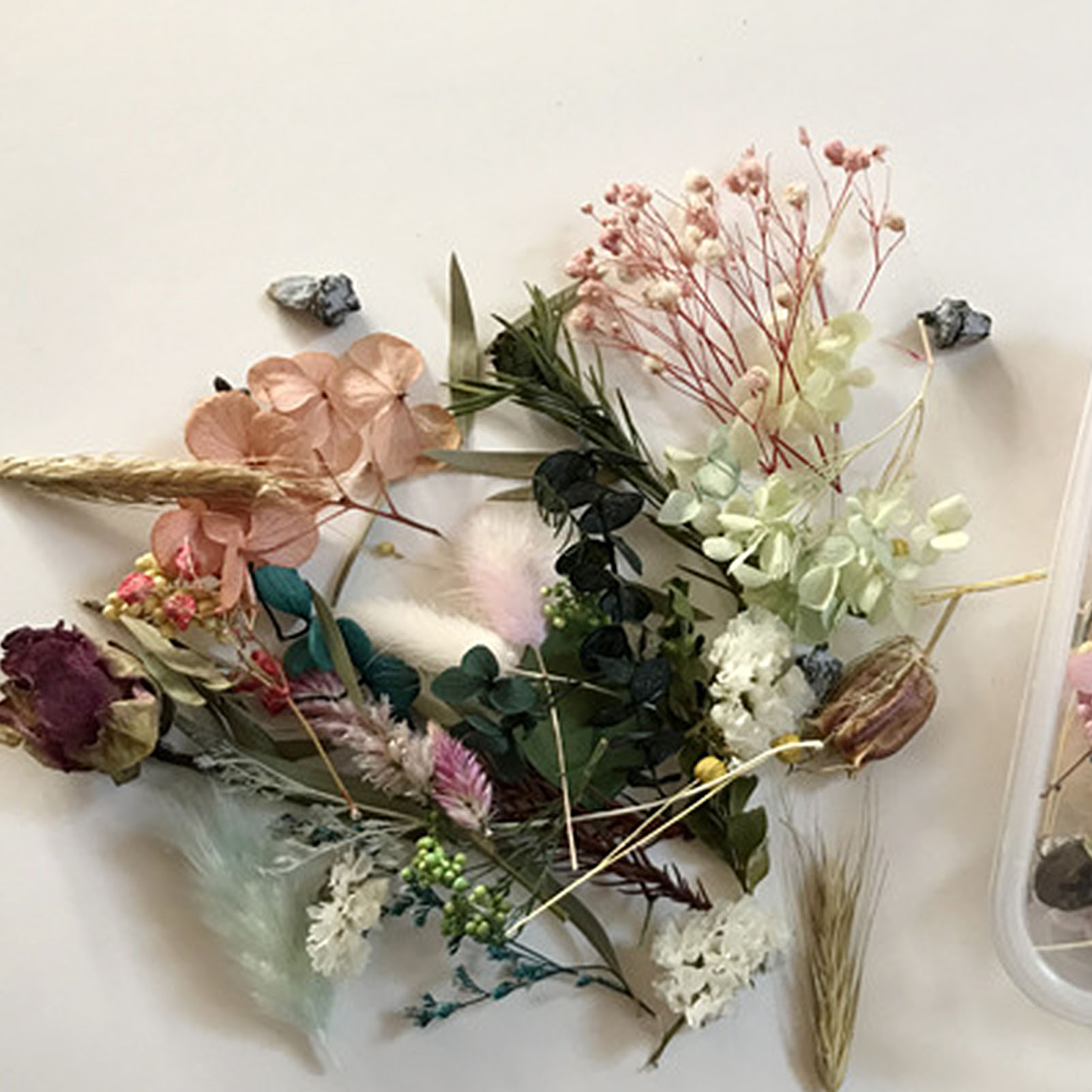 Набор натуральных сушеных цвет – обзор и цена Dried Flower Pressed