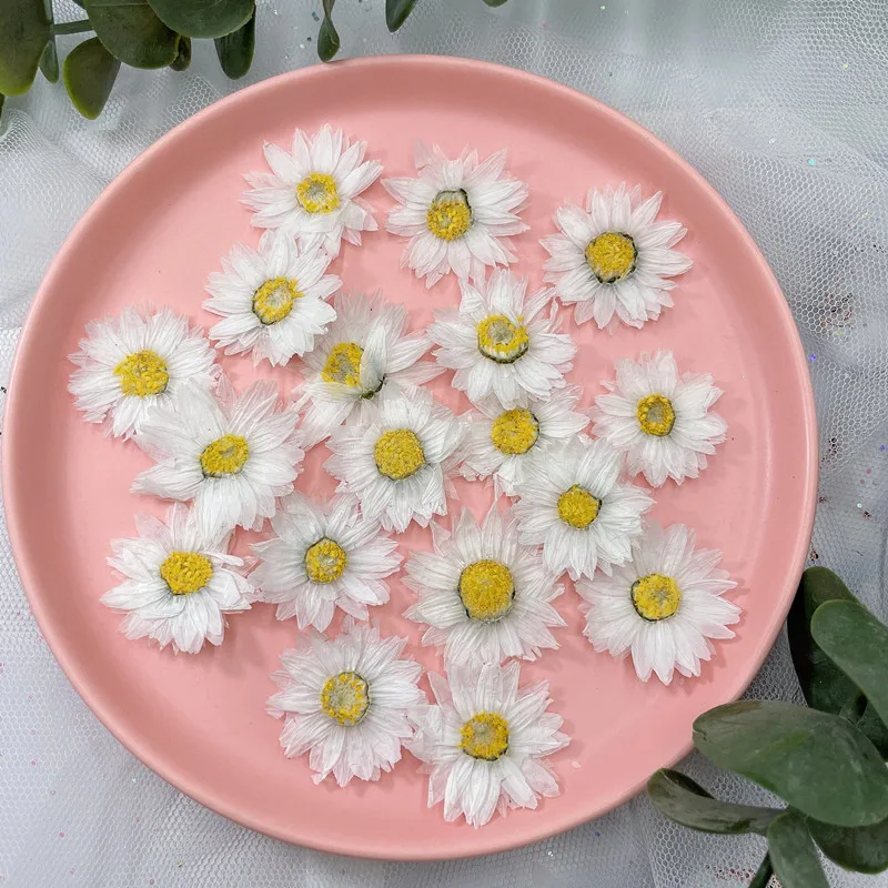 Натуральные прессованные цвето – обзор и цена Dried Flower Pressed