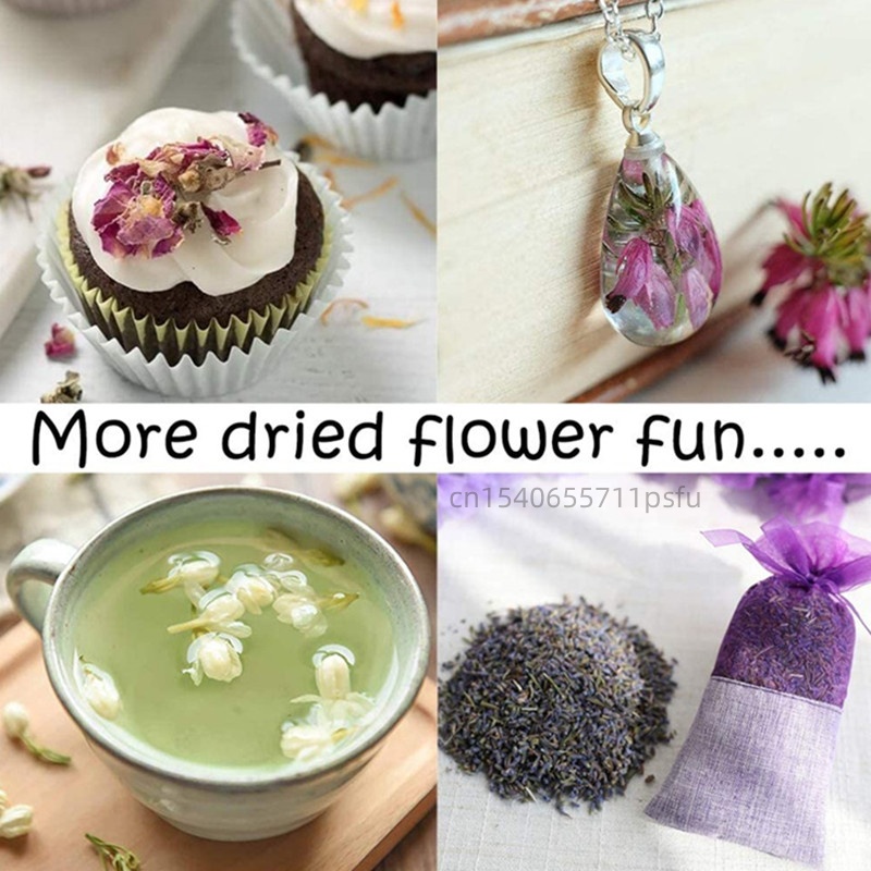 Высококачественные натуральные – обзор и цена Dried Flower Pressed